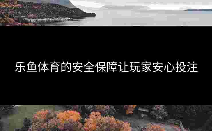 乐鱼体育的安全保障让玩家安心投注