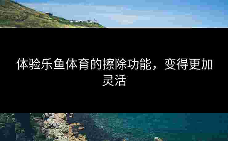体验乐鱼体育的擦除功能，变得更加灵活